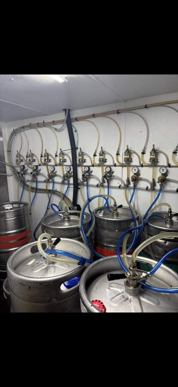 Rows of kegs connected to color-coded beverage lines in a walk-in cooler